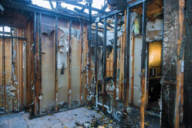 Professional Fire Damage Removal technician working in Cambridge, MD